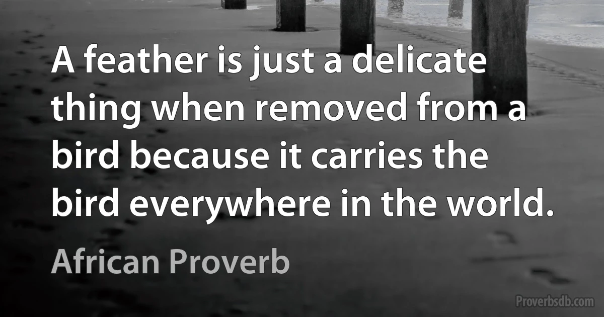 A feather is just a delicate thing when removed from a bird because it carries the bird everywhere in the world. (African Proverb)