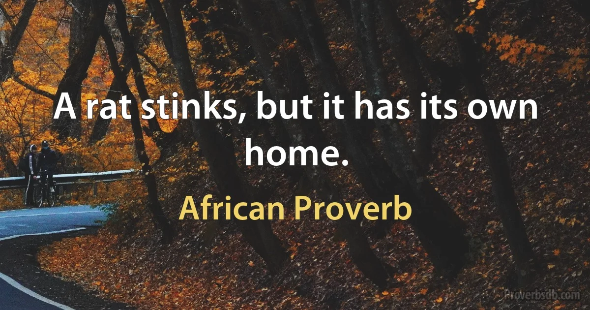 A rat stinks, but it has its own home. (African Proverb)