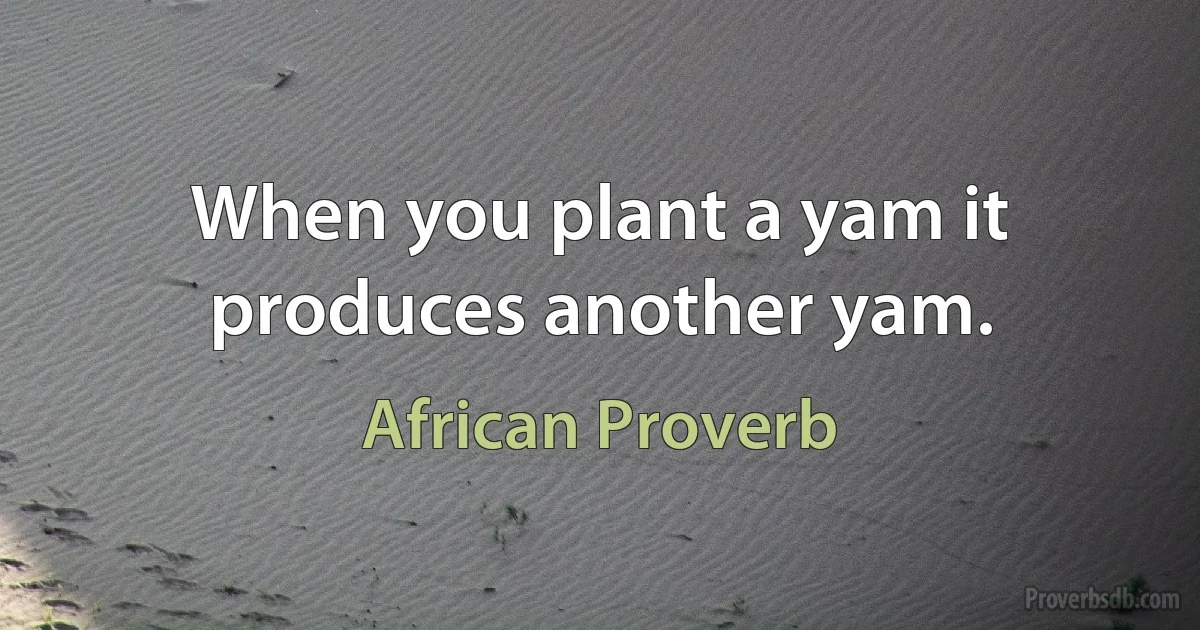 When you plant a yam it produces another yam. (African Proverb)