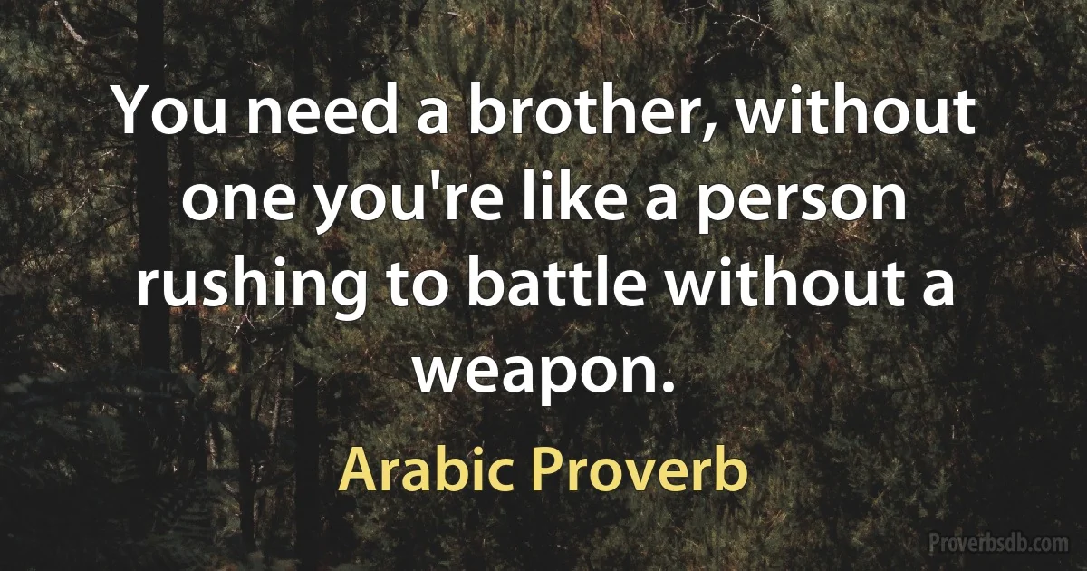 You need a brother, without one you're like a person rushing to battle without a weapon. (Arabic Proverb)