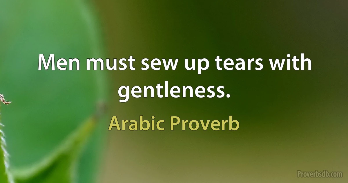 Men must sew up tears with gentleness. (Arabic Proverb)