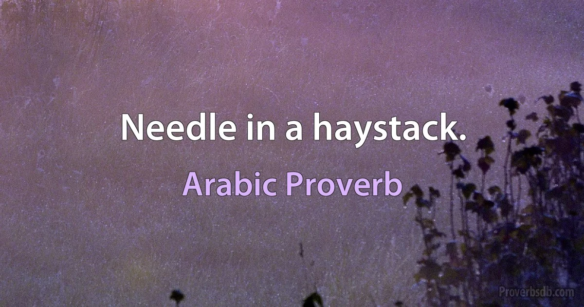 Needle in a haystack. (Arabic Proverb)