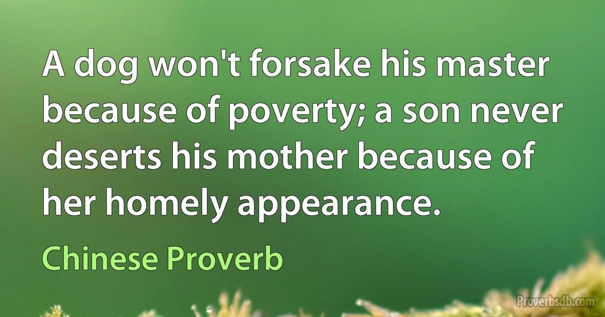 A dog won't forsake his master because of poverty; a son never deserts his mother because of her homely appearance. (Chinese Proverb)