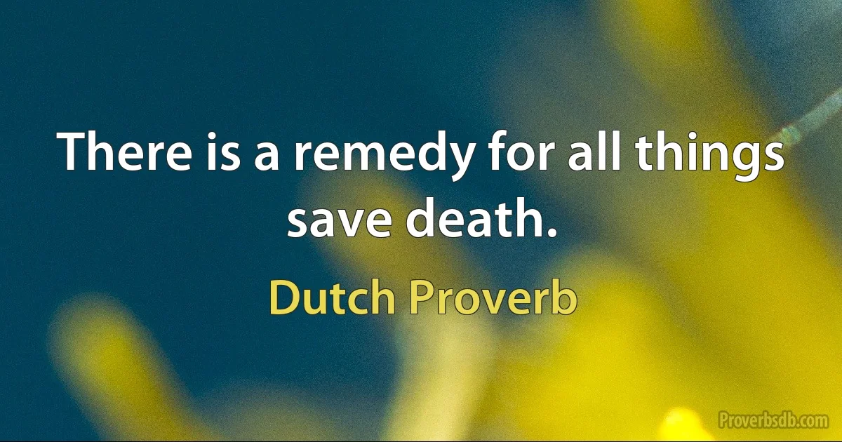 There is a remedy for all things save death. (Dutch Proverb)