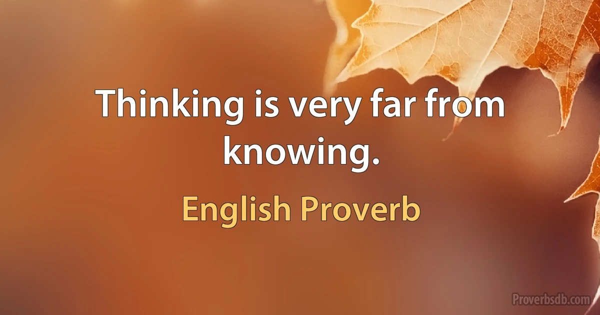 Thinking is very far from knowing. (English Proverb)