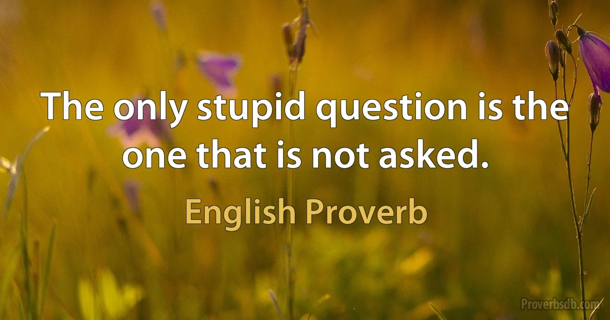 The only stupid question is the one that is not asked. (English Proverb)