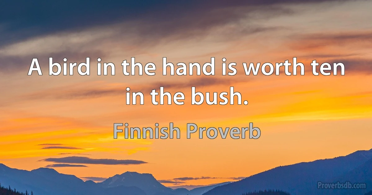 A bird in the hand is worth ten in the bush. (Finnish Proverb)