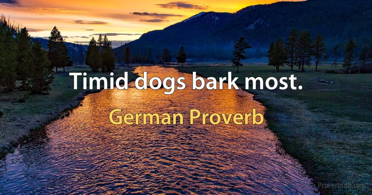 Timid dogs bark most. (German Proverb)