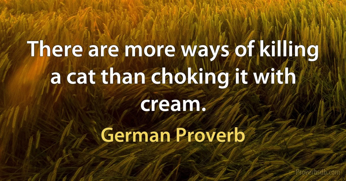 There are more ways of killing a cat than choking it with cream. (German Proverb)