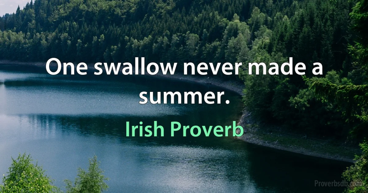 One swallow never made a summer. (Irish Proverb)