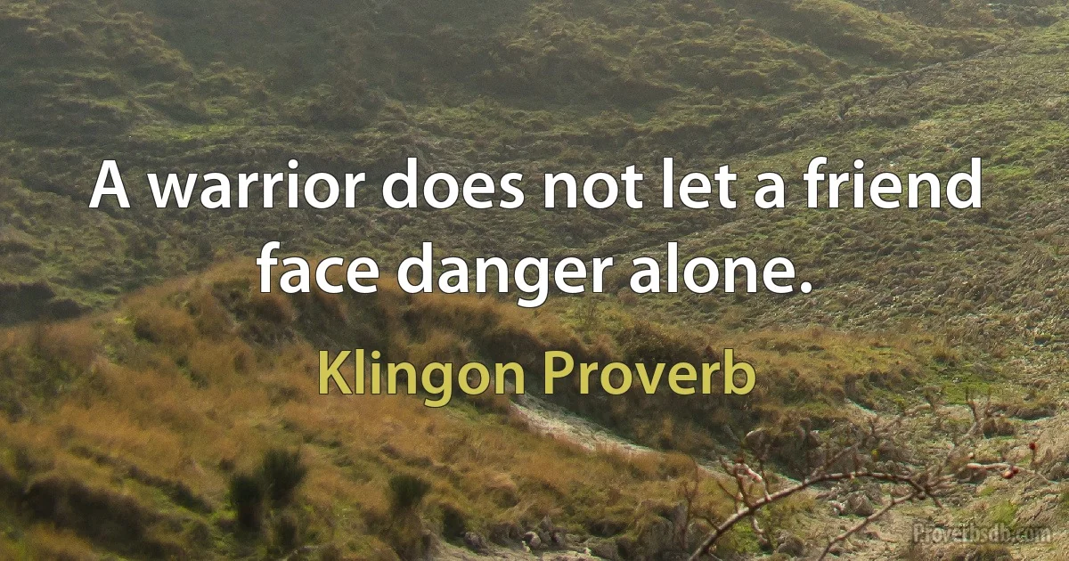 A warrior does not let a friend face danger alone. (Klingon Proverb)