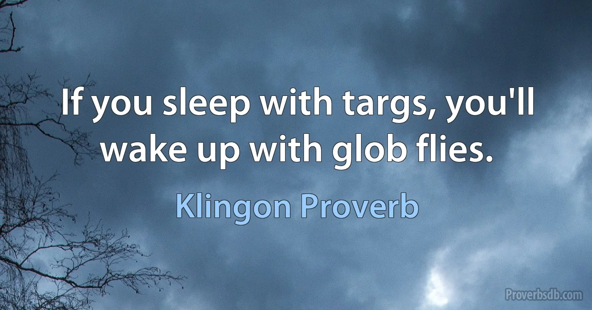 If you sleep with targs, you'll wake up with glob flies. (Klingon Proverb)