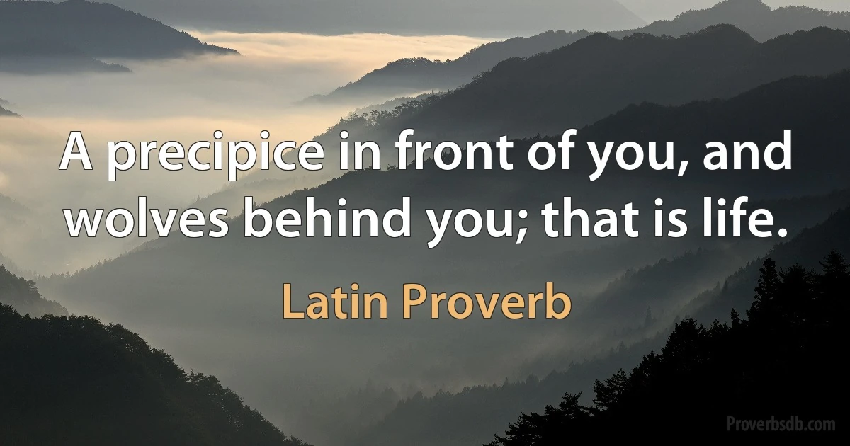 A precipice in front of you, and wolves behind you; that is life. (Latin Proverb)