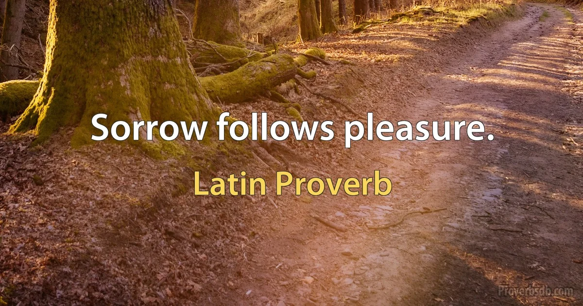 Sorrow follows pleasure. (Latin Proverb)