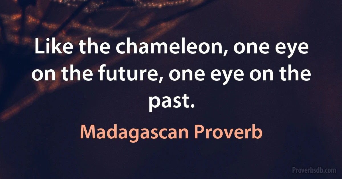 Like the chameleon, one eye on the future, one eye on the past. (Madagascan Proverb)