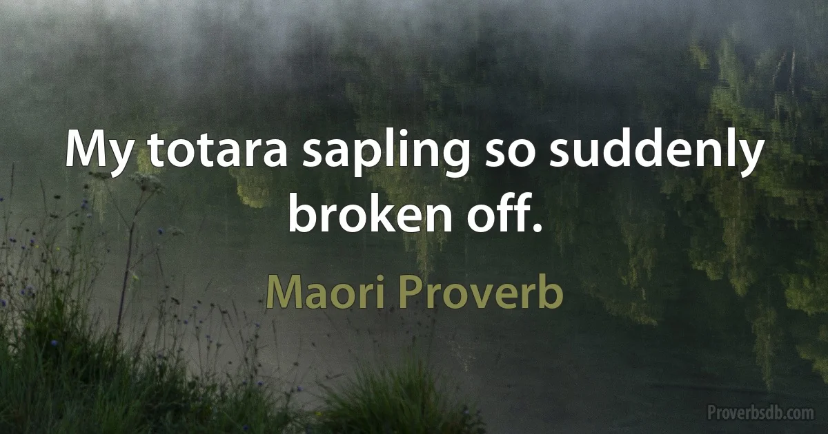 My totara sapling so suddenly broken off. (Maori Proverb)