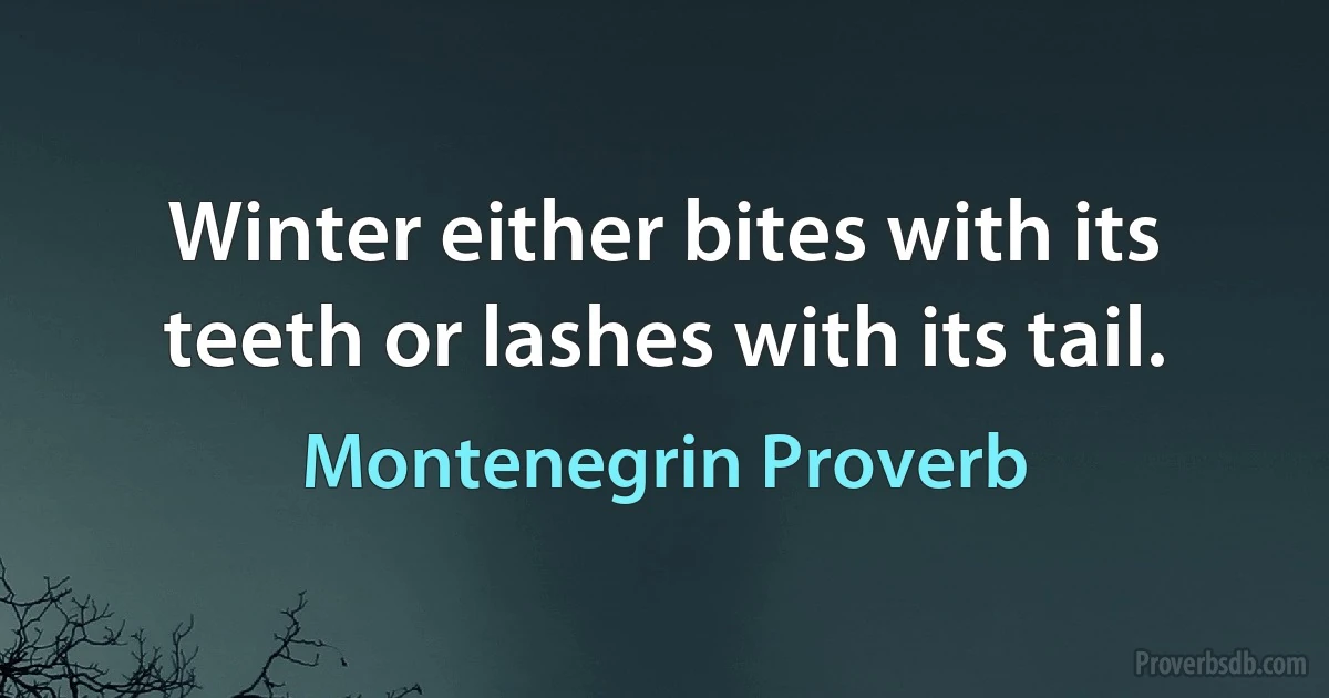 Winter either bites with its teeth or lashes with its tail. (Montenegrin Proverb)