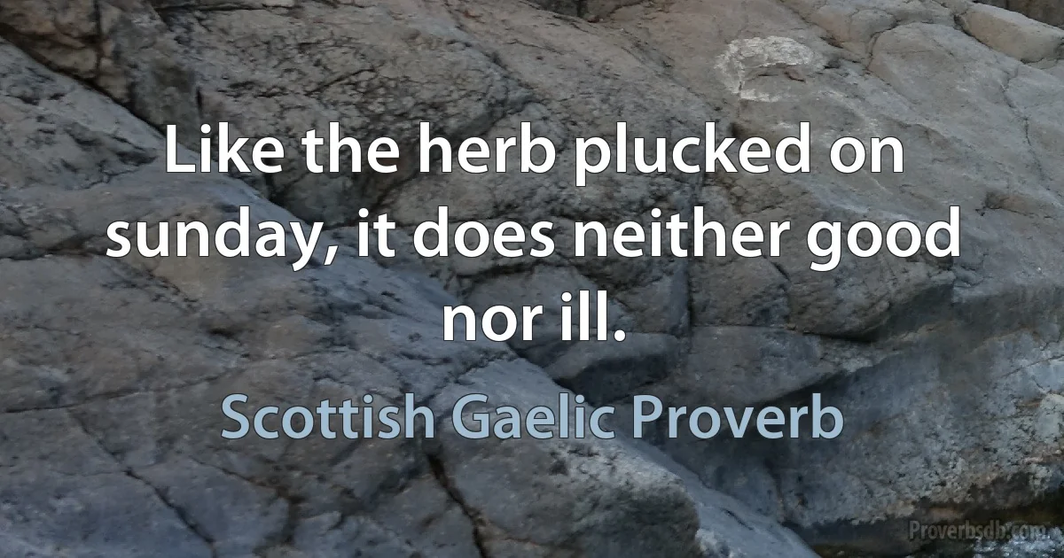 Like the herb plucked on sunday, it does neither good nor ill. (Scottish Gaelic Proverb)