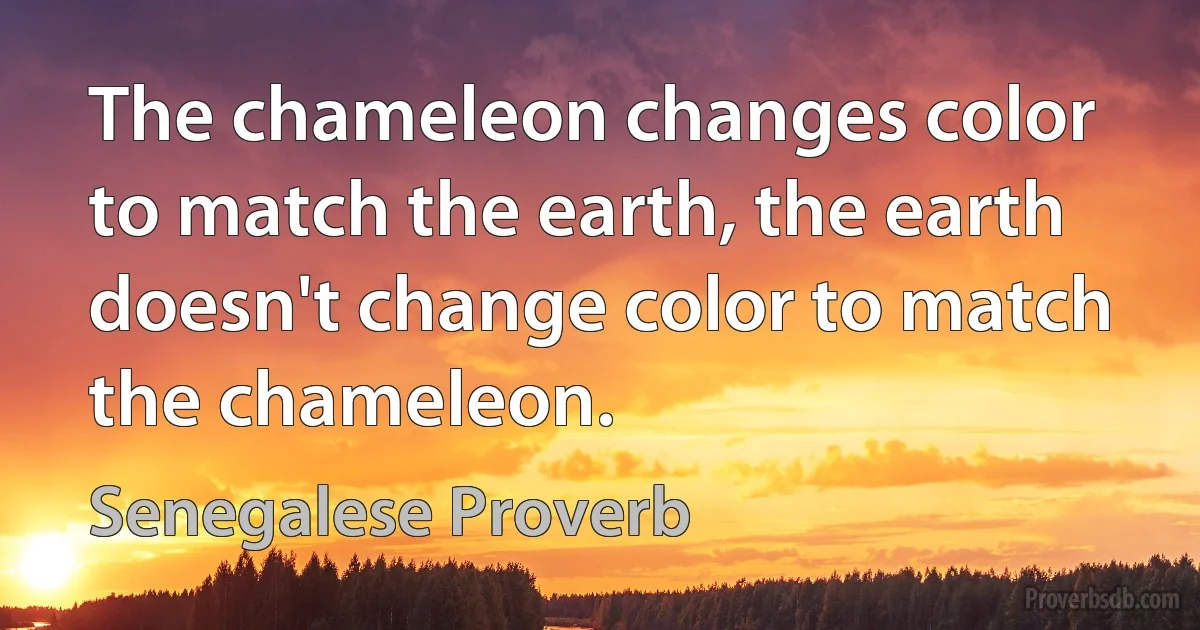 The chameleon changes color to match the earth, the earth doesn't change color to match the chameleon. (Senegalese Proverb)