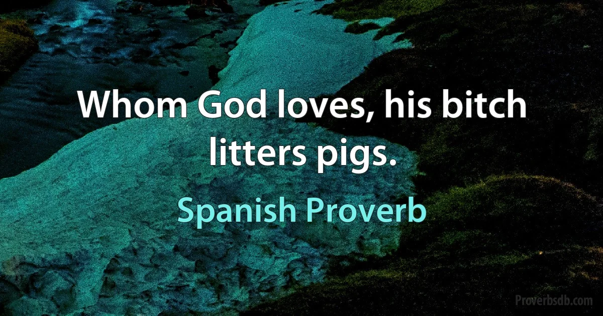 Whom God loves, his bitch litters pigs. (Spanish Proverb)