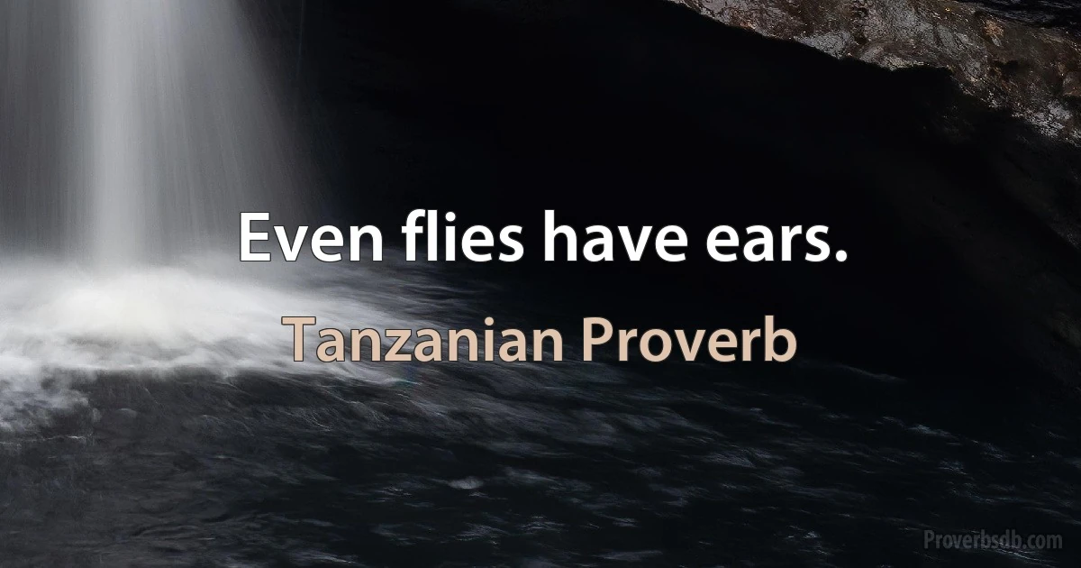 Even flies have ears. (Tanzanian Proverb)