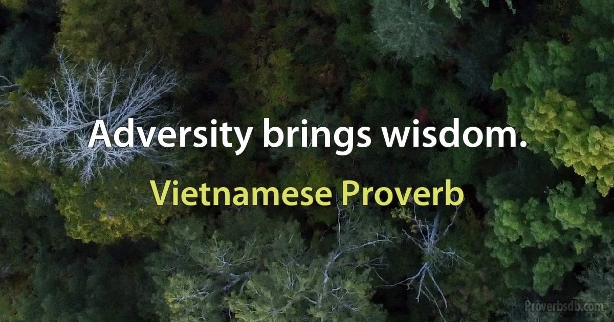 Adversity brings wisdom. (Vietnamese Proverb)