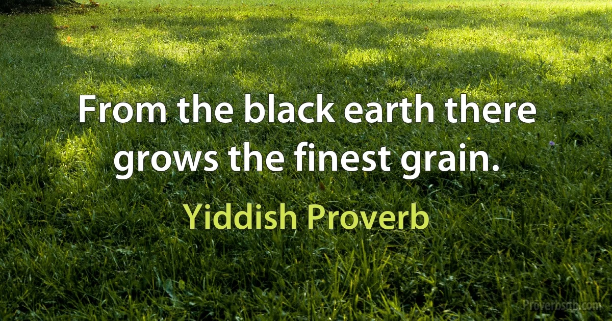 From the black earth there grows the finest grain. (Yiddish Proverb)