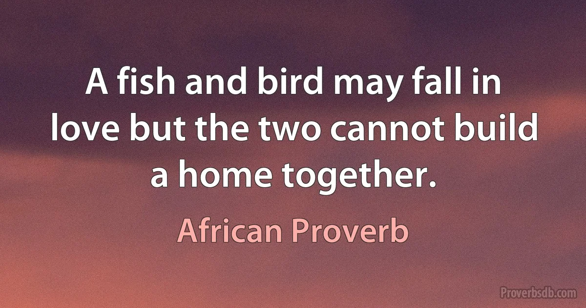 A fish and bird may fall in love but the two cannot build a home together. (African Proverb)