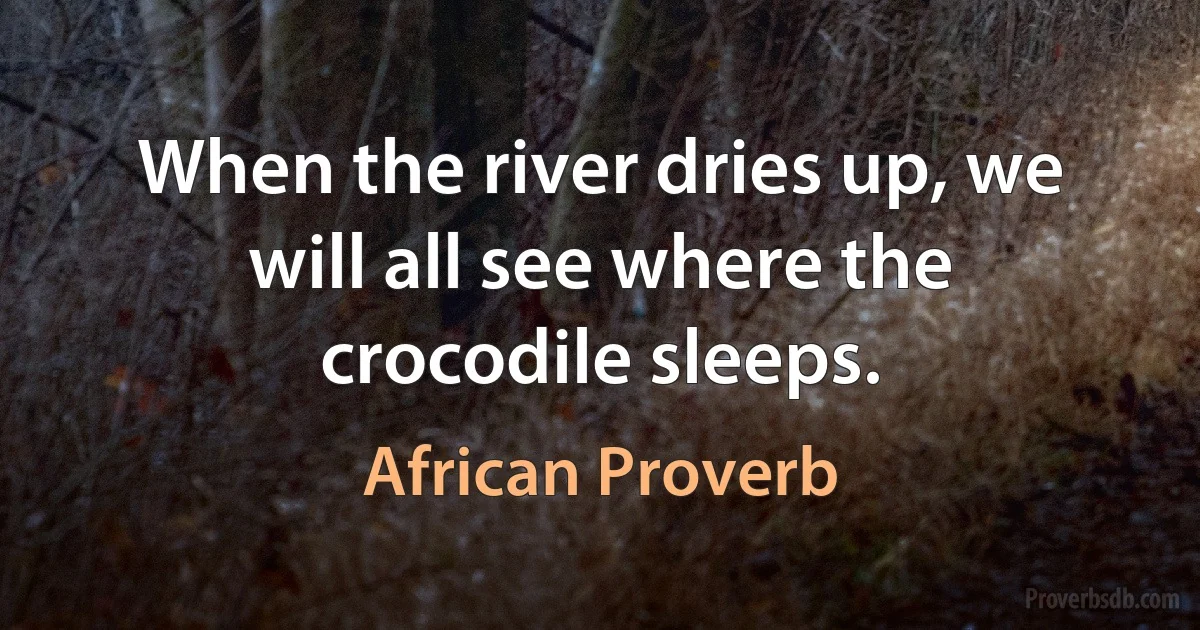 When the river dries up, we will all see where the crocodile sleeps. (African Proverb)