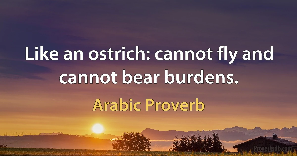 Like an ostrich: cannot fly and cannot bear burdens. (Arabic Proverb)