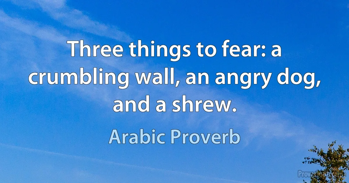 Three things to fear: a crumbling wall, an angry dog, and a shrew. (Arabic Proverb)