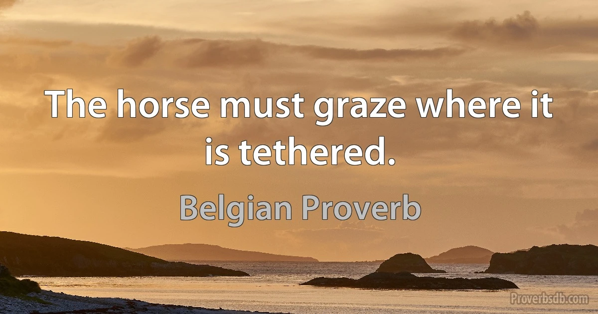 The horse must graze where it is tethered. (Belgian Proverb)