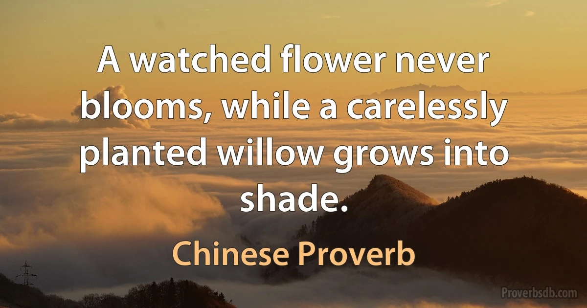 A watched flower never blooms, while a carelessly planted willow grows into shade. (Chinese Proverb)