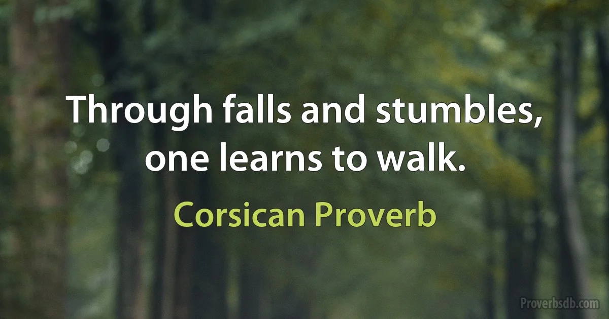 Through falls and stumbles, one learns to walk. (Corsican Proverb)