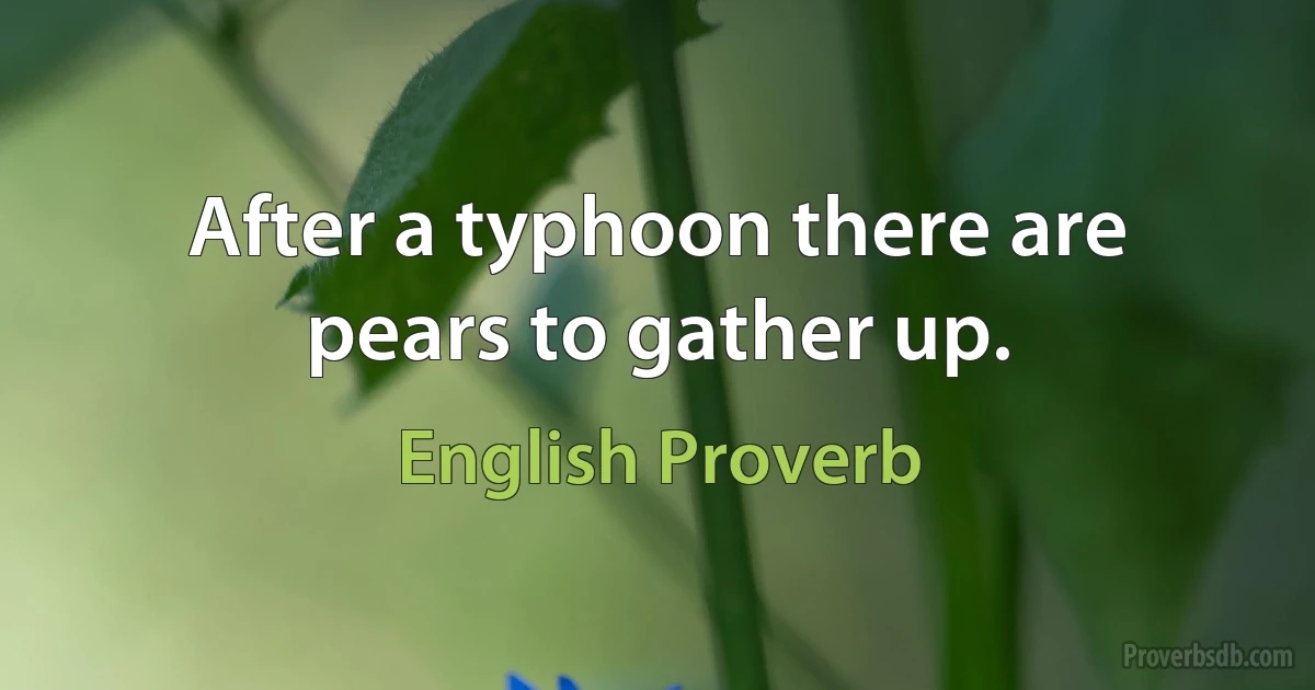 After a typhoon there are pears to gather up. (English Proverb)