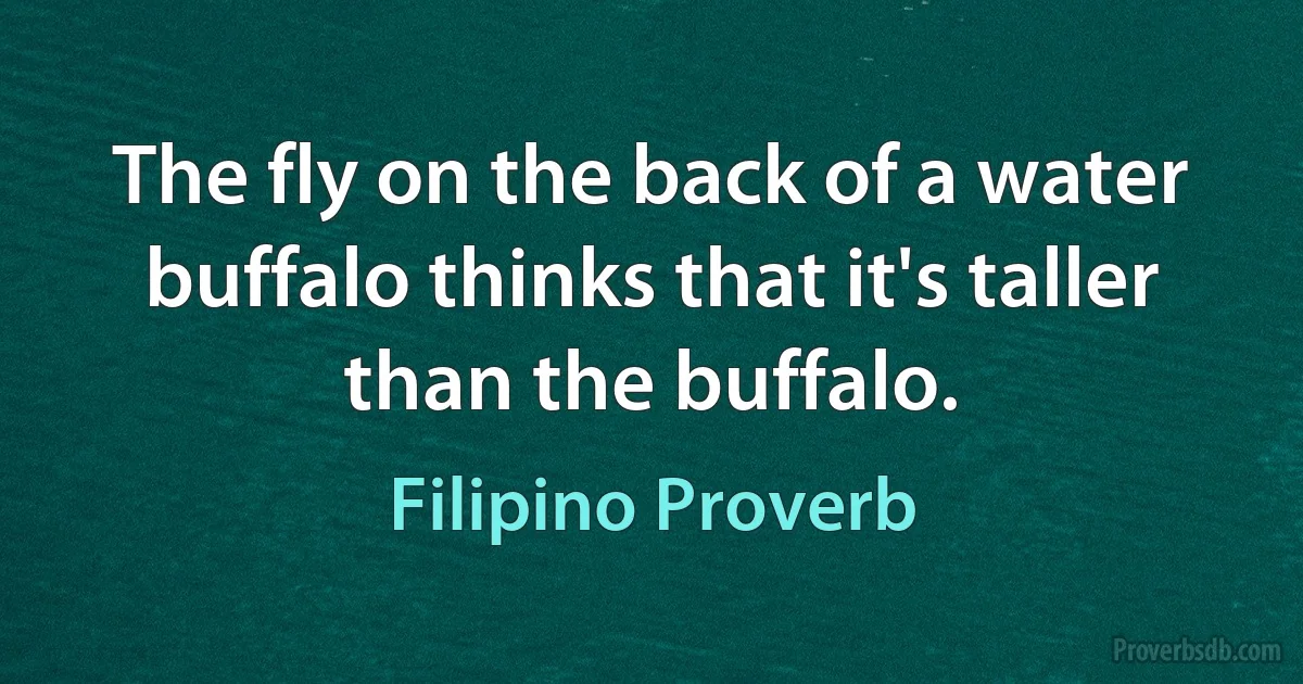 The fly on the back of a water buffalo thinks that it's taller than the buffalo. (Filipino Proverb)