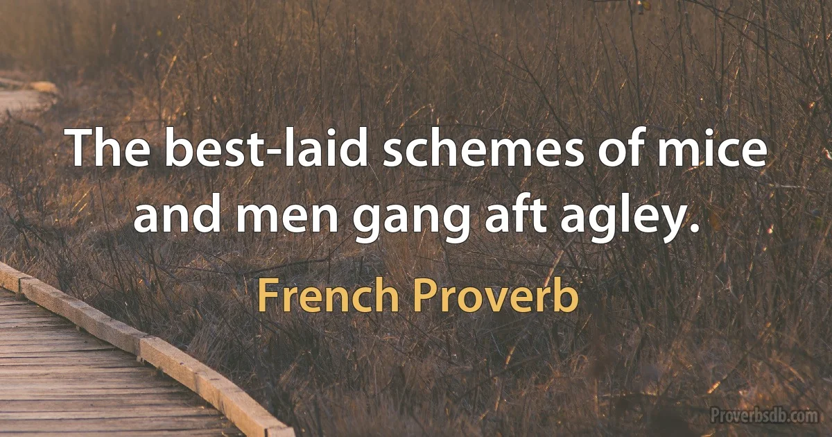 The best-laid schemes of mice and men gang aft agley. (French Proverb)