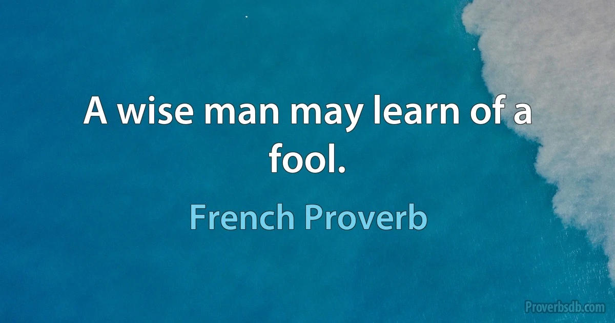 A wise man may learn of a fool. (French Proverb)