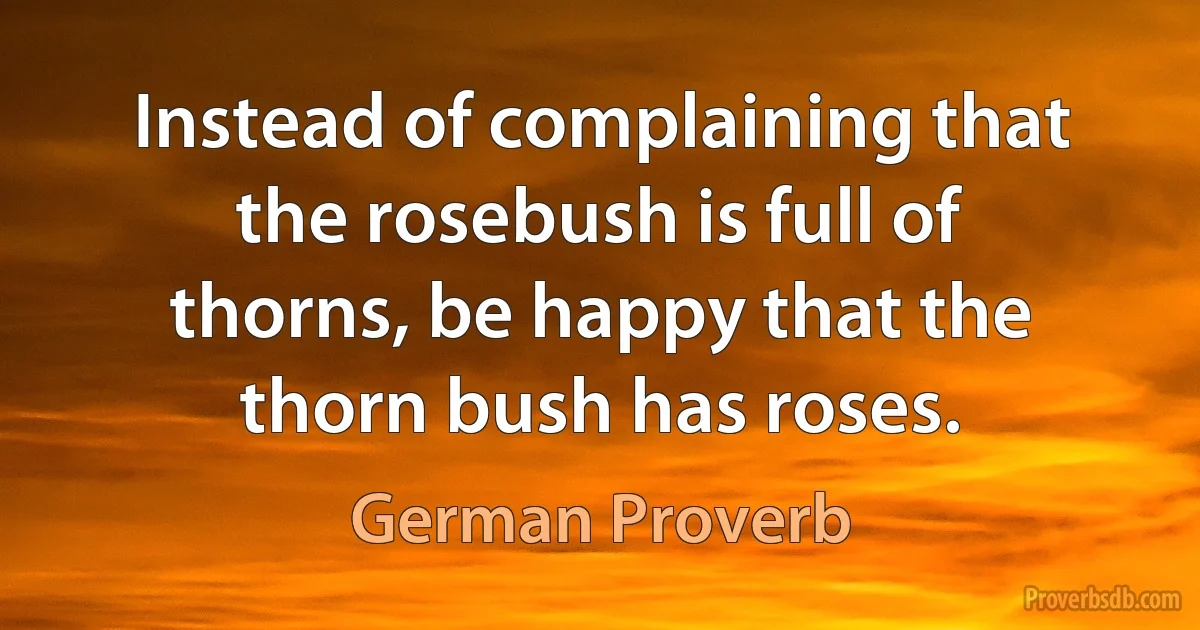 Instead of complaining that the rosebush is full of thorns, be happy that the thorn bush has roses. (German Proverb)