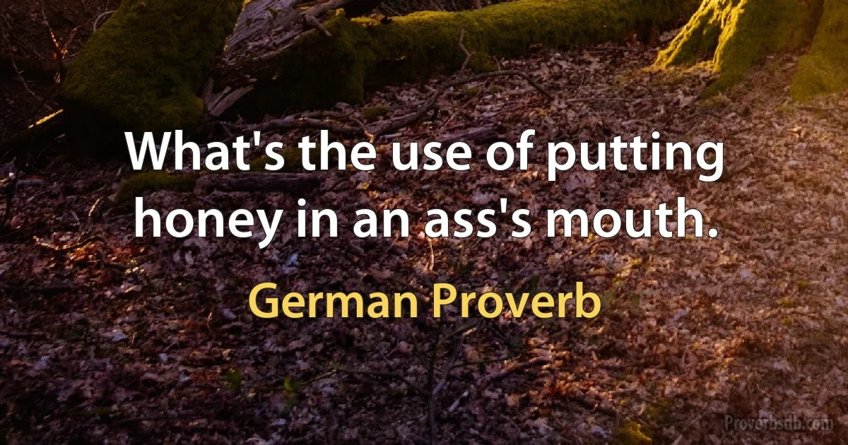 What's the use of putting honey in an ass's mouth. (German Proverb)