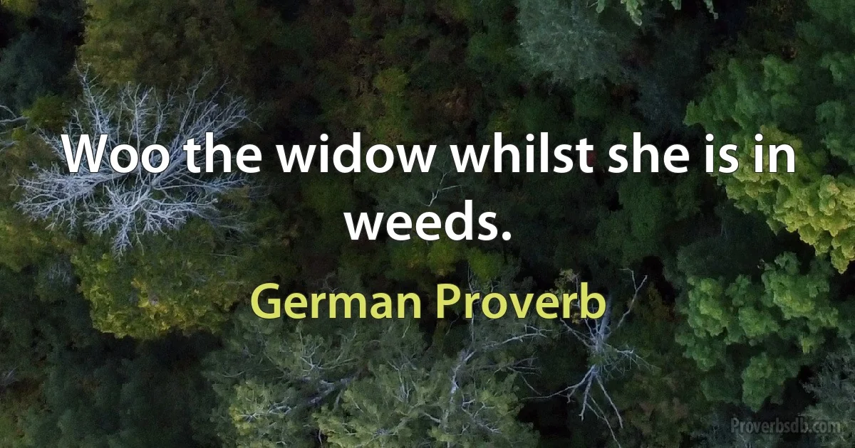 Woo the widow whilst she is in weeds. (German Proverb)