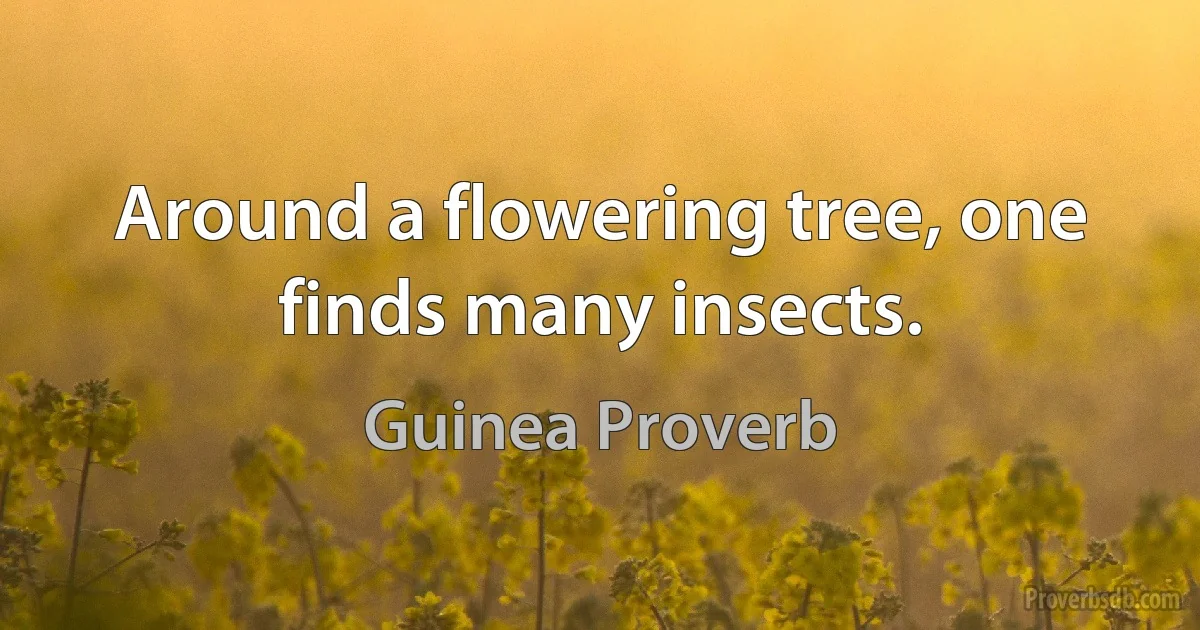 Around a flowering tree, one finds many insects. (Guinea Proverb)