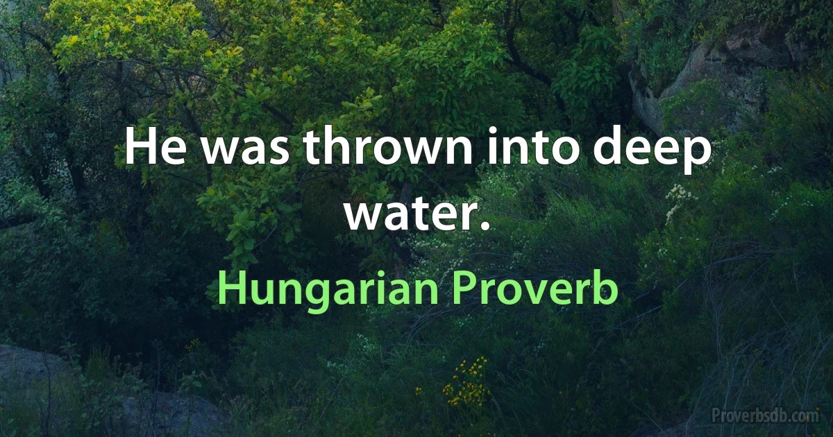 He was thrown into deep water. (Hungarian Proverb)