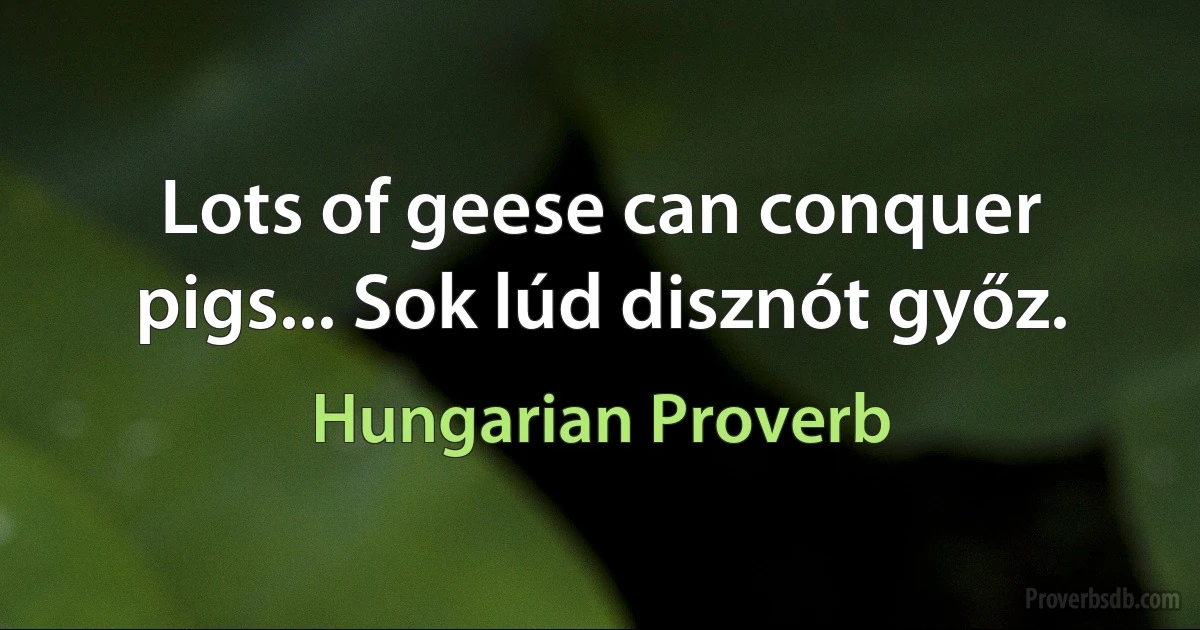 Lots of geese can conquer pigs... Sok lúd disznót győz. (Hungarian Proverb)