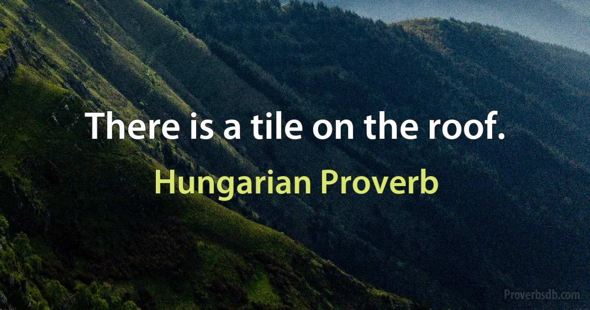 There is a tile on the roof. (Hungarian Proverb)