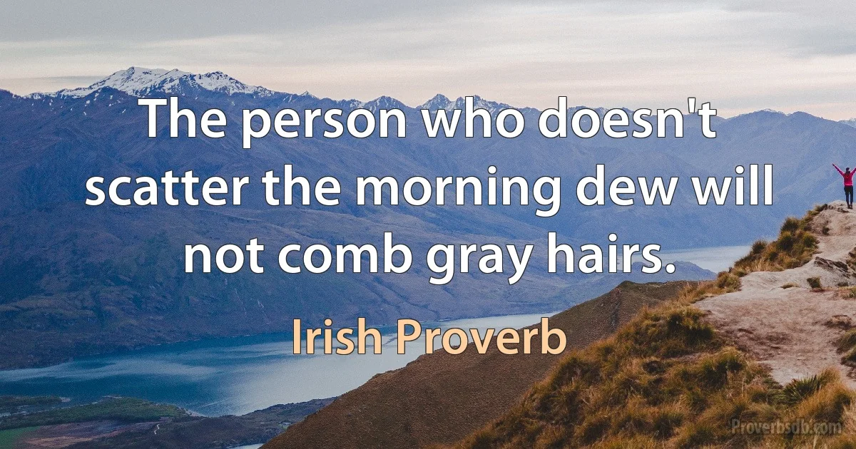 The person who doesn't scatter the morning dew will not comb gray hairs. (Irish Proverb)