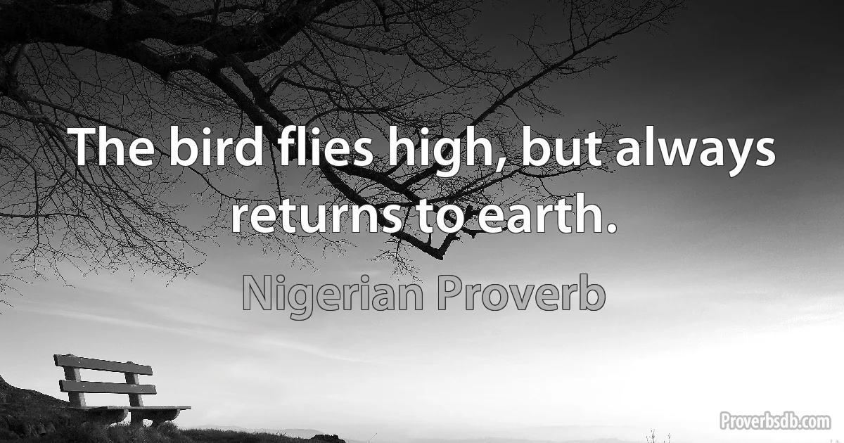 The bird flies high, but always returns to earth. (Nigerian Proverb)