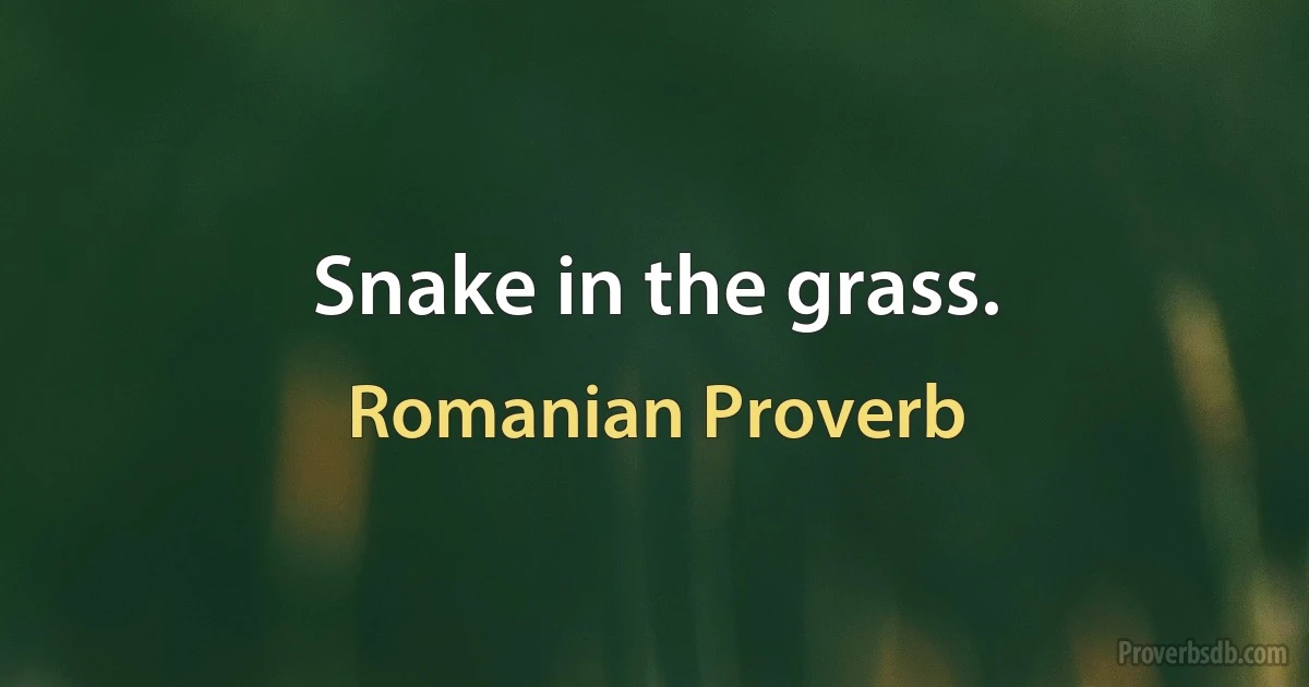 Snake in the grass. (Romanian Proverb)