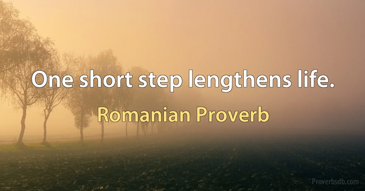 One short step lengthens life. (Romanian Proverb)