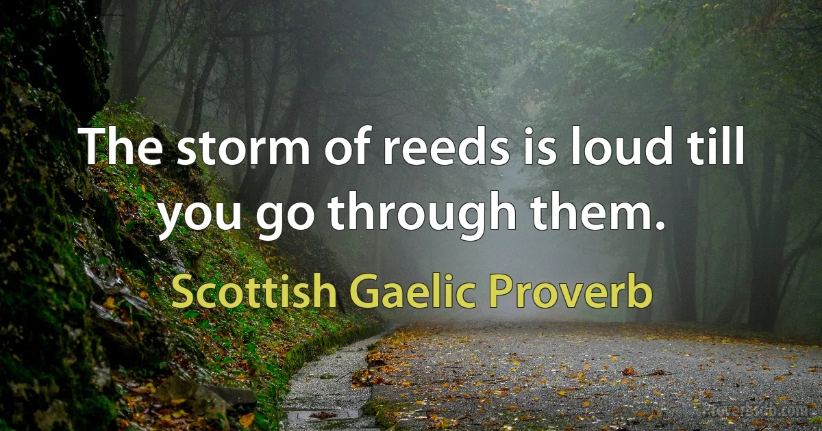 The storm of reeds is loud till you go through them. (Scottish Gaelic Proverb)